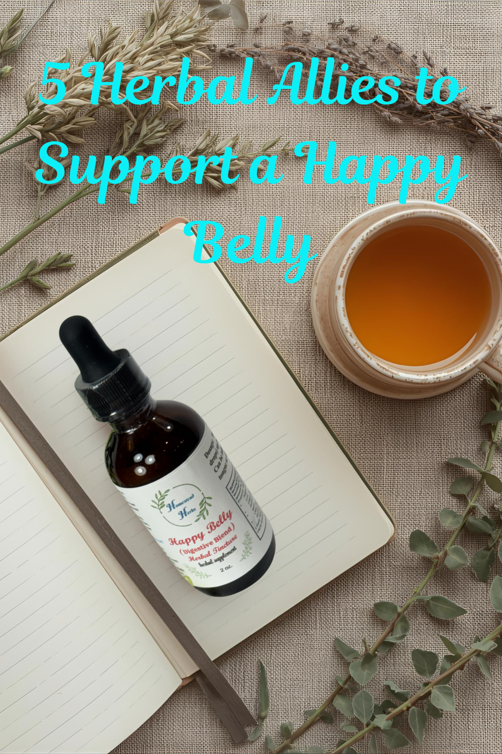 🌿 5 Herbal Allies to Support a Happy Belly