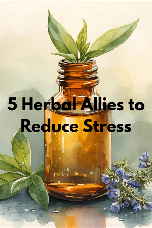 5 Herbal Allies to Reduce Stress