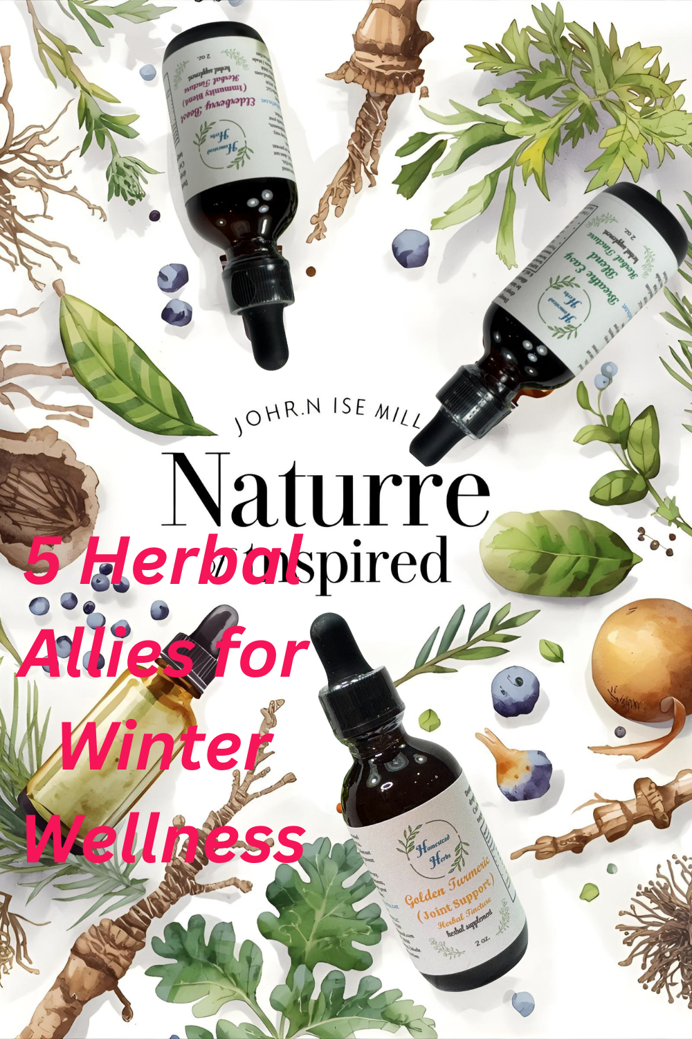5 Herbal Allies for Winter Wellness