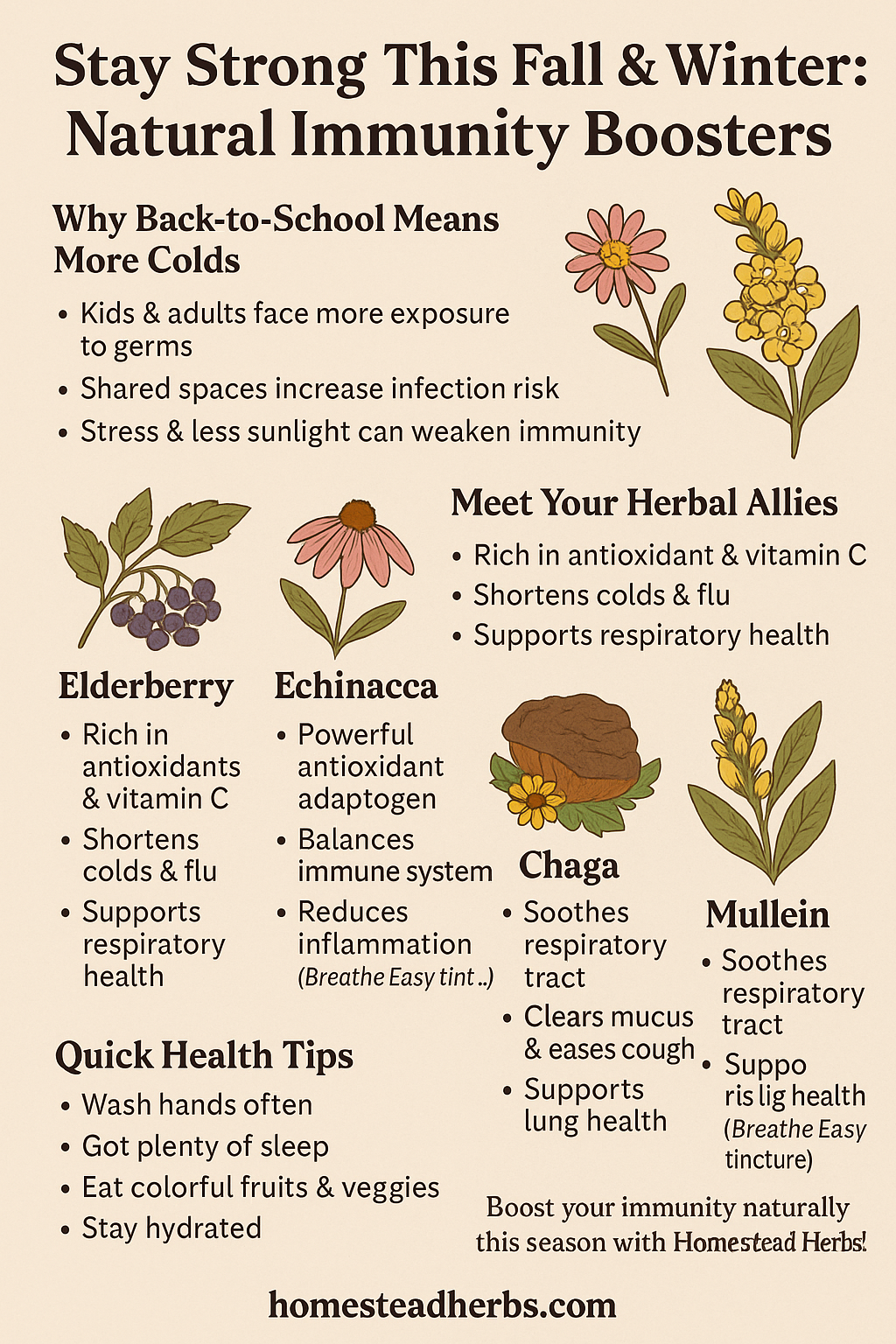 Prepare for Fall & Winter Sick Season: Natural Immunity Boosters You Need Now