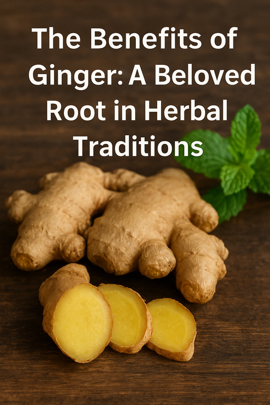 The Benefits of Ginger: A Beloved Root in Herbal Traditions