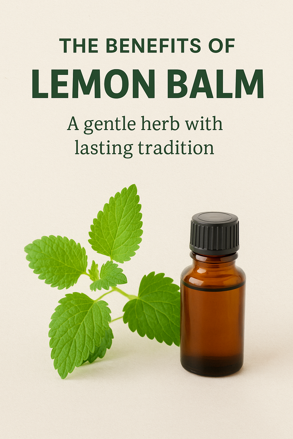 The Benefits of Lemon Balm: A Gentle Herb with Lasting Tradition