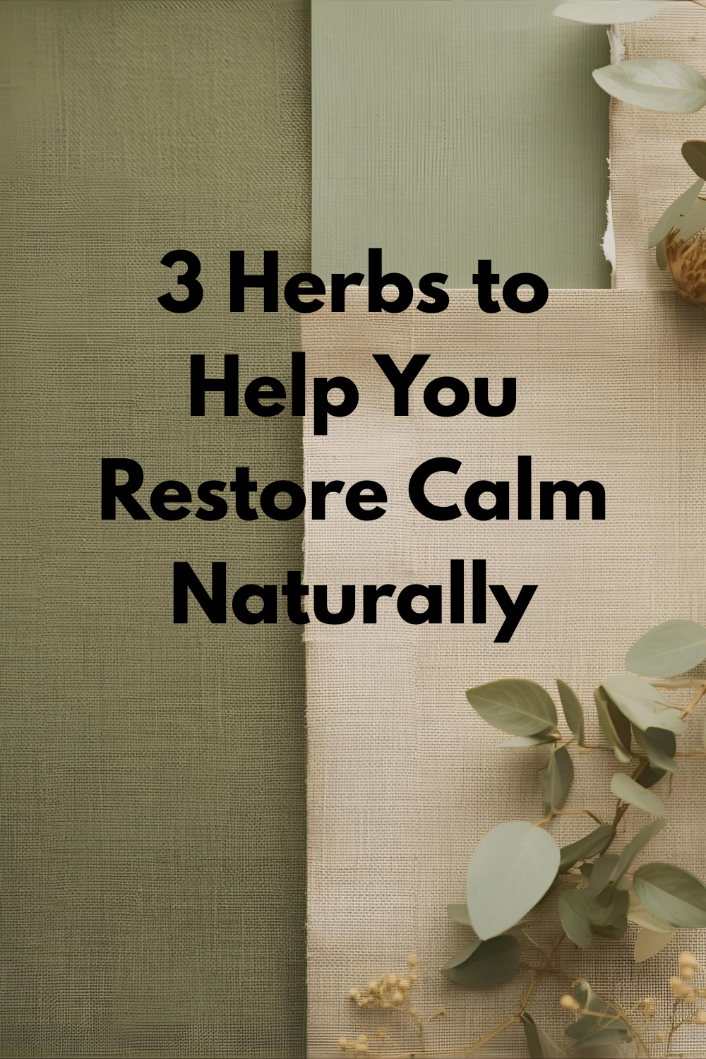 🍃 Nature’s Stress Relievers: 3 Herbs to Restore Inner Peace