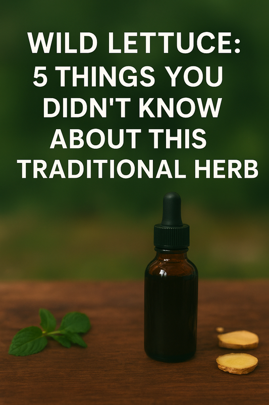 Wild Lettuce: 5 Things You Didn’t Know About This Traditional Herb
