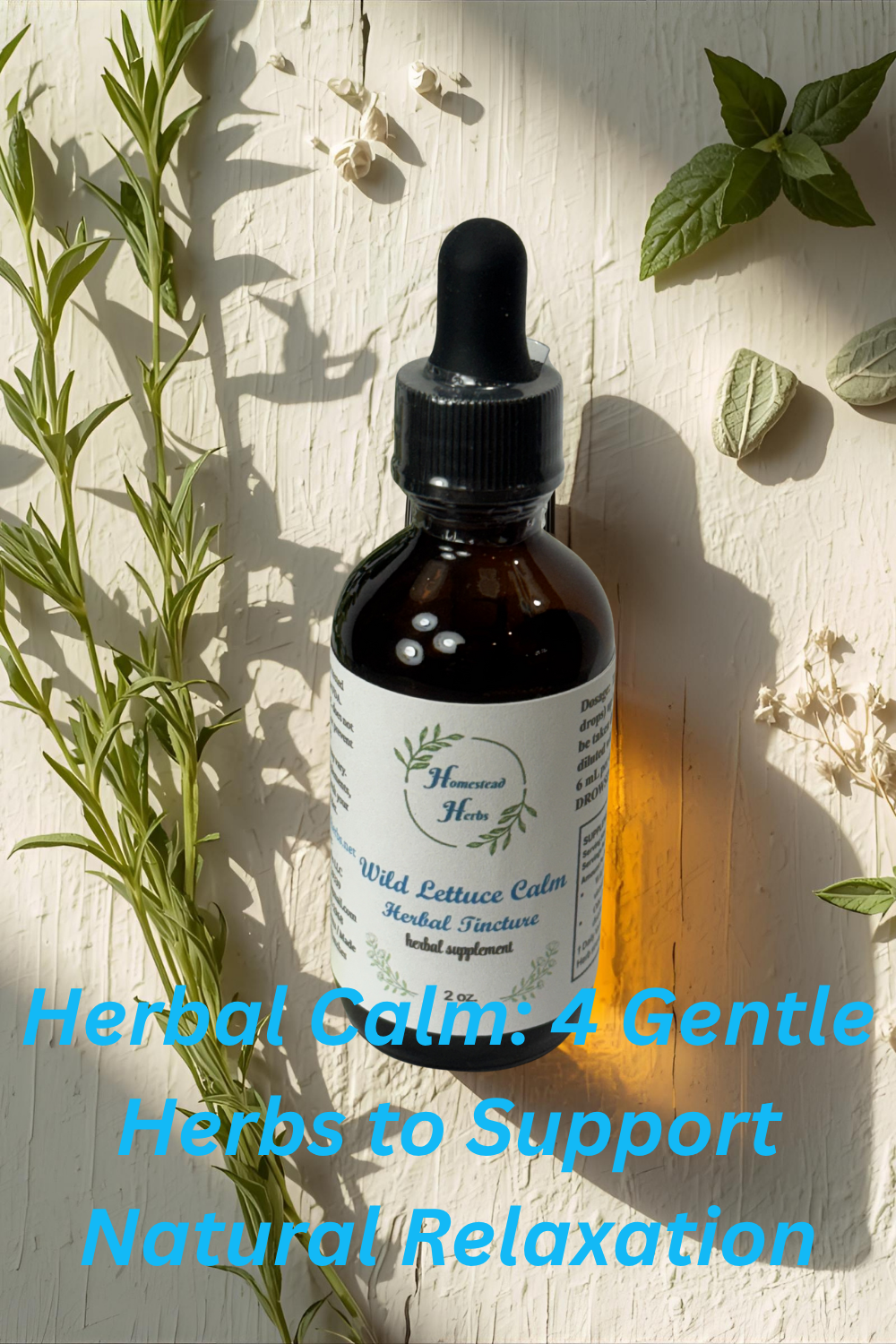 Herbal Calm: 4 Gentle Herbs to Support Natural Relaxation