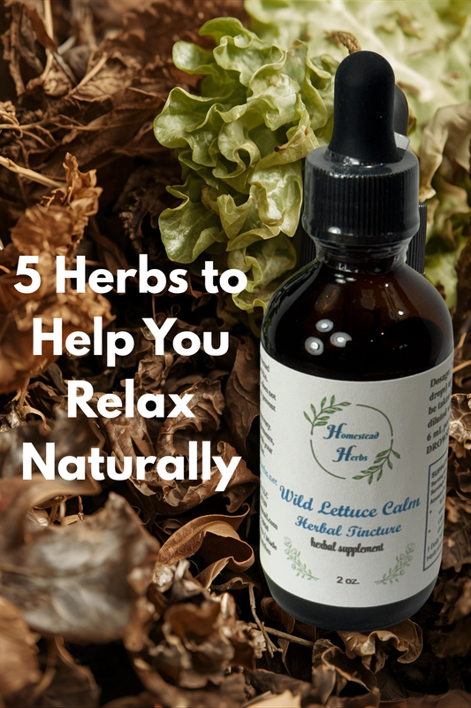 5 Herbs to Help You Relax Naturally