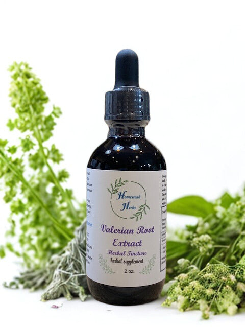 Valerian Root Extract – Herbal Supplement (Valeriana officinalis)