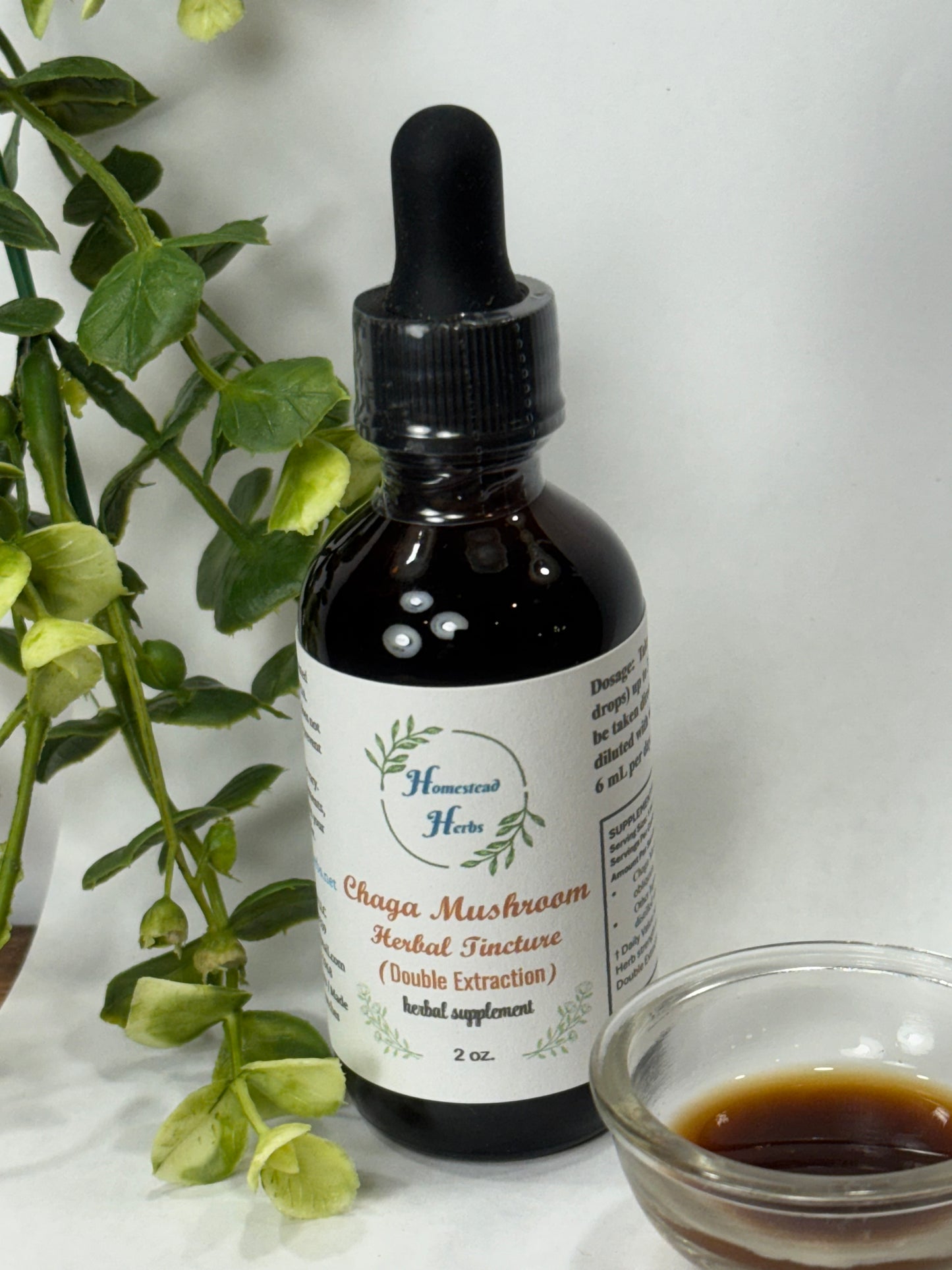 Chaga mushroom herbal tincture drops made from wildcrafted Chaga mushrooms for immune support
