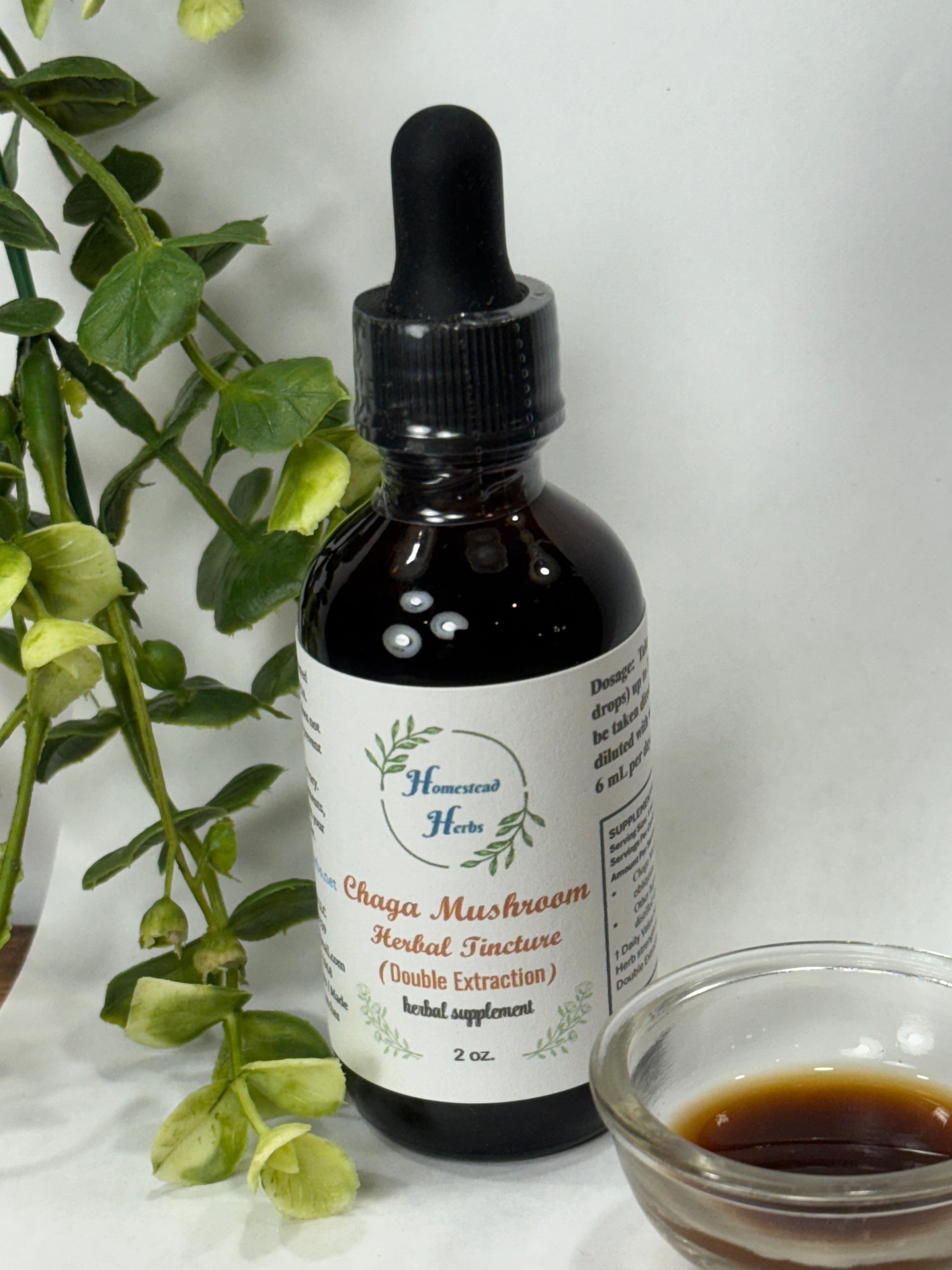 Chaga mushroom herbal tincture drops made from wildcrafted Chaga mushrooms for immune support