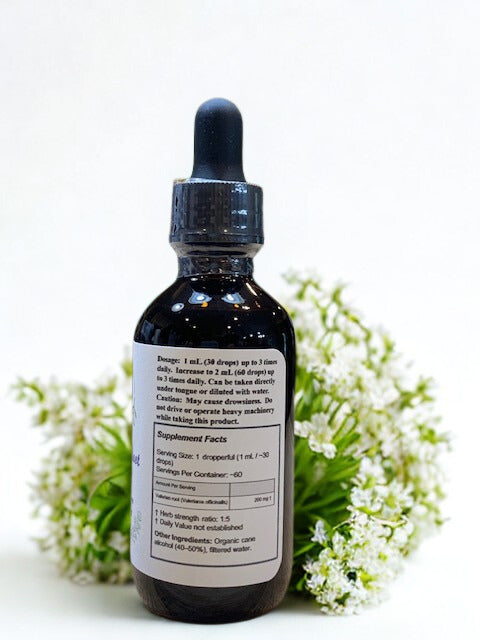Valerian Root Extract – Herbal Supplement (Valeriana officinalis)